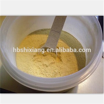 Fermentations Instant Dry Beer Yeast Powder