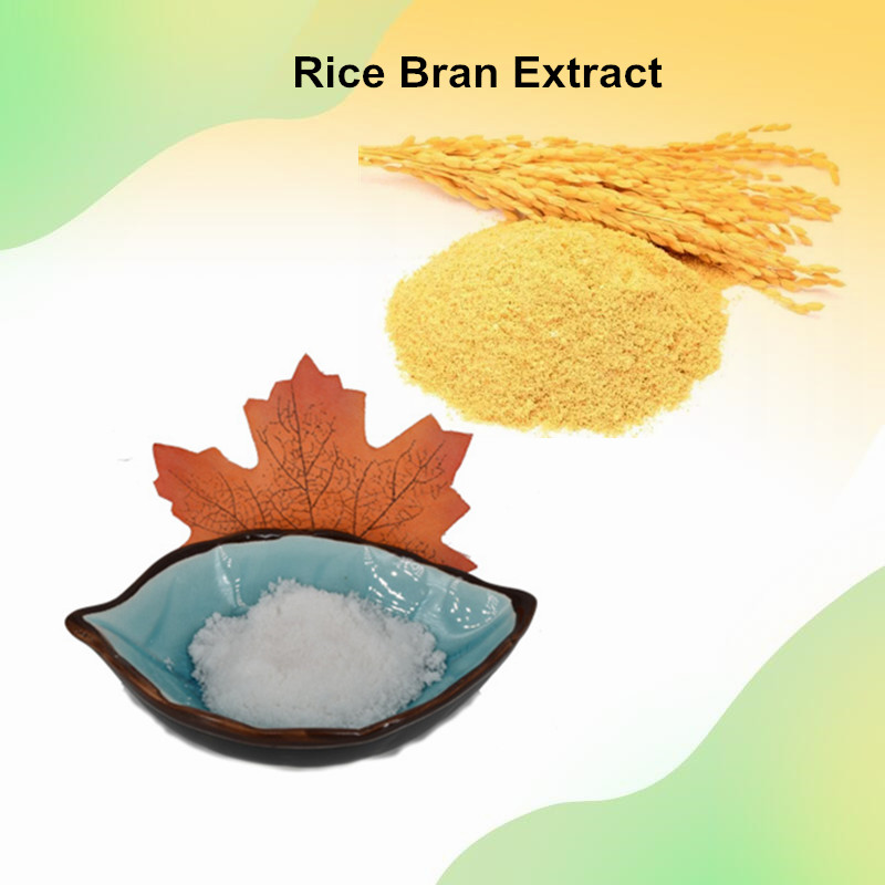 Rice Bran Extract3