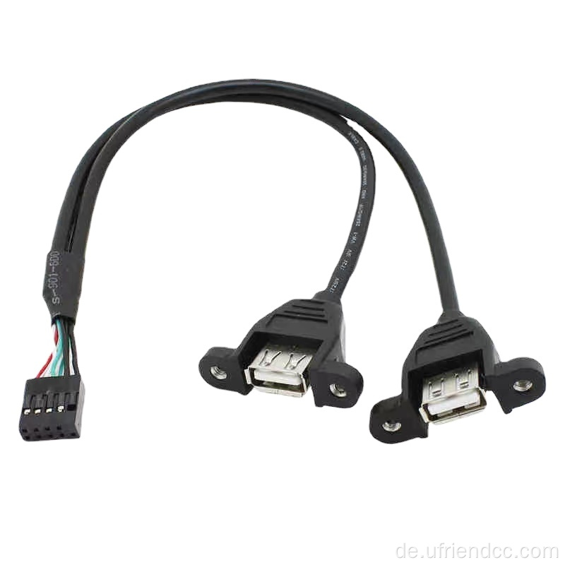 Ph2.0 Doppel USB-A Motherboard-Kabelkabel