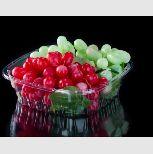 Fruits and Vegetables Meat Tub