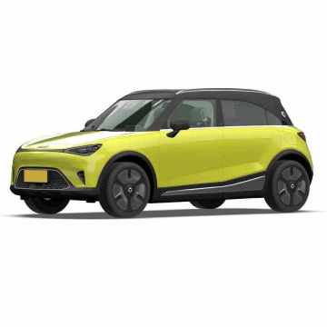 2023 Chinese New Genie Pure EV Automatic Gearbox Electric SUV with Rear Camera and Leather Seats