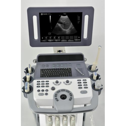 Veterinary Ultrasonic 4D Color Doppler Scan Trolley