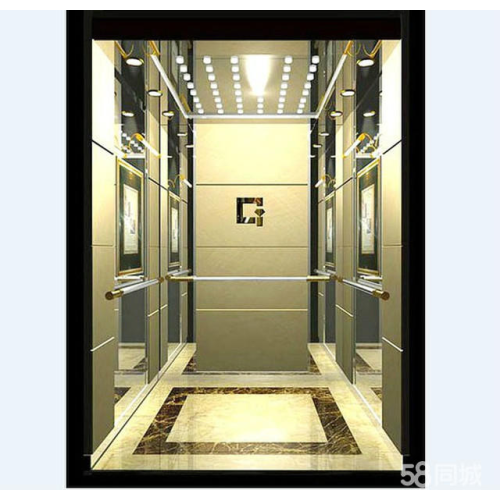 Luxury Passenger Elevator for Hotel