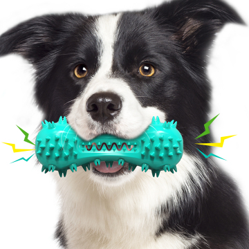 Molar Bite Resistant Gel Cleaner Toothbrush Pet toy