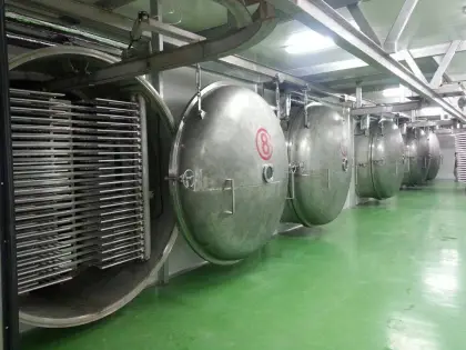 Natural freeze dried jackfruit processing machine