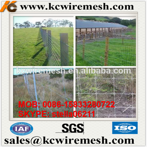 Factory!!!!! Kangchen High Tensile Hinge Joint Galvanised Farm Fencing