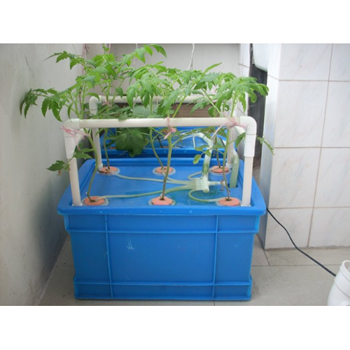 Home Hydroponic System para cultivar fresas