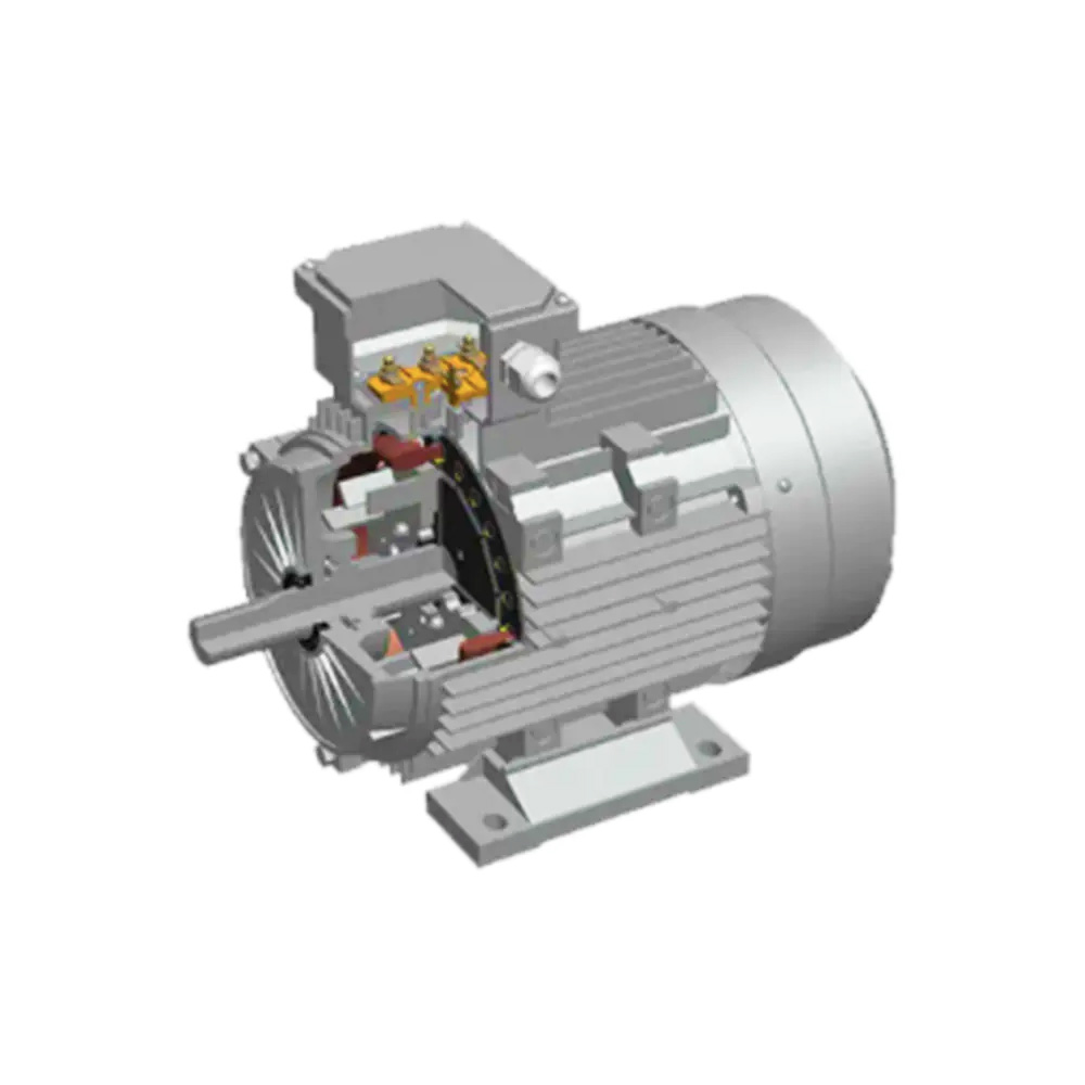Permanent magnet synchronous motor02-y