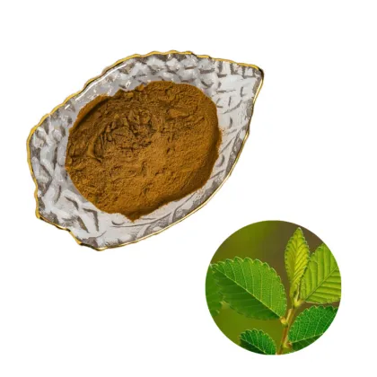Factory supply high quality Elm extract powder / Elm bark extract powder