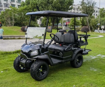 Elegant golfvoertuig met 2+2 zitplaatsen voor naadloos reizen