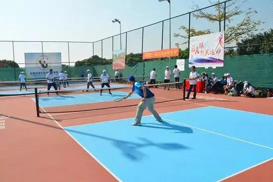 Adjustable Foldable Portable Net for Outdoor Pickleball Game