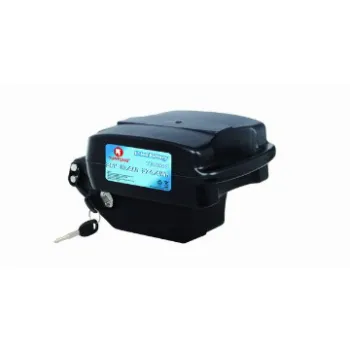 24V 9AH Frog Li-Po Battery with Frog Case BMS and Charger for e-Bike