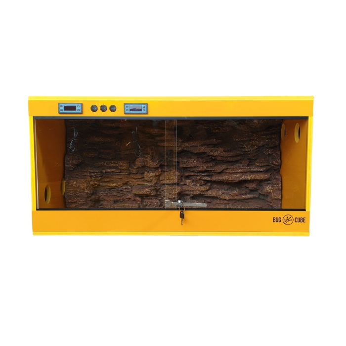 Tanques de répteis de PVC personalizados de cor de temperatura inteligente