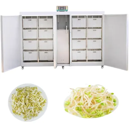 Automatic Mung Bean Sprout Machinery for Practical Bean Sprout Production