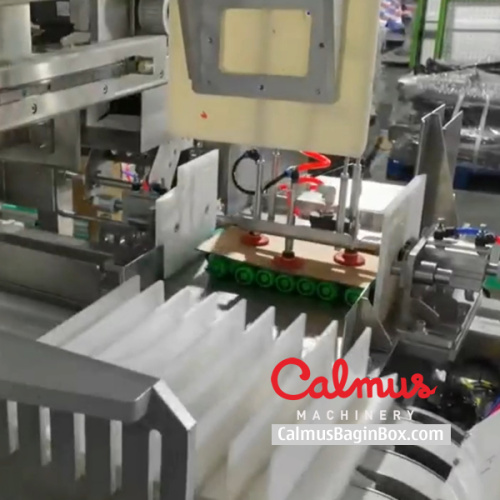 Pouch Case Packer Machine Doypack Packaging Line