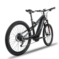 Electric Mountain Bike Wholesale online