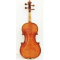 Ziziphus Jujube Fitted Violin