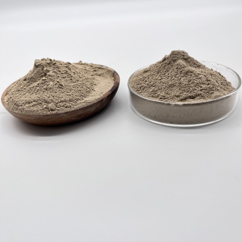 Öl abbauende Bakterien aerobe und anaerobe Typ