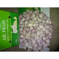 Size 5.0cm 2020 Normal White Garlic