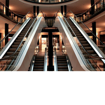 Elevator and Escalator Solutions for Shopping Malls | 600-800-1000 Series 30&35 Degree Escalators