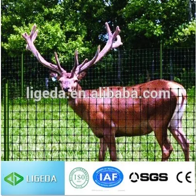 garden fence iron wire mesh