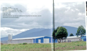 Angola Broiler Poultry Shed Design (br00166)