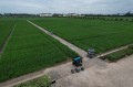 40L UAV DRONE Crop Sprayer 6axis Agriculture Droni