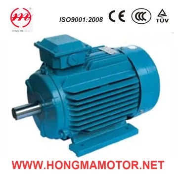 Asynchronous Electric AC NEMA Motor