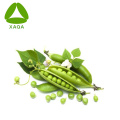 Plant Extract Niet-GMO PEA-eiwitpoeder