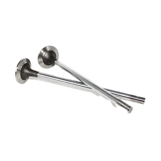Parts for Caterpillar Diesel Engines: Intake Valves and Related Components
