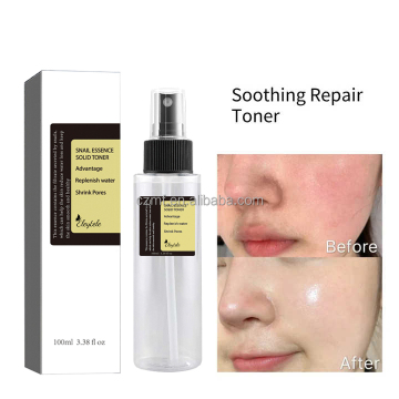Paraben-Free Anti-Aging Korean Snail Extract Moisturizer and Toner Set