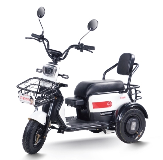 N1 (Leisure Electric Tricycle)