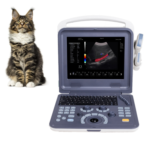 Tablet Veterinär-Farbdoppler 4D Ultraschallgerät