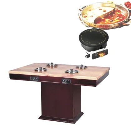 Schott Ceran Induction Cooker Manual: Table of Contents