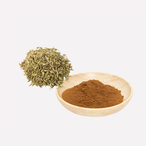 Herbal Extracts Fennel Extract Powder