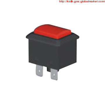 Rocker Switch