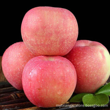food grade fresh apple fruit qinguan apples red apples