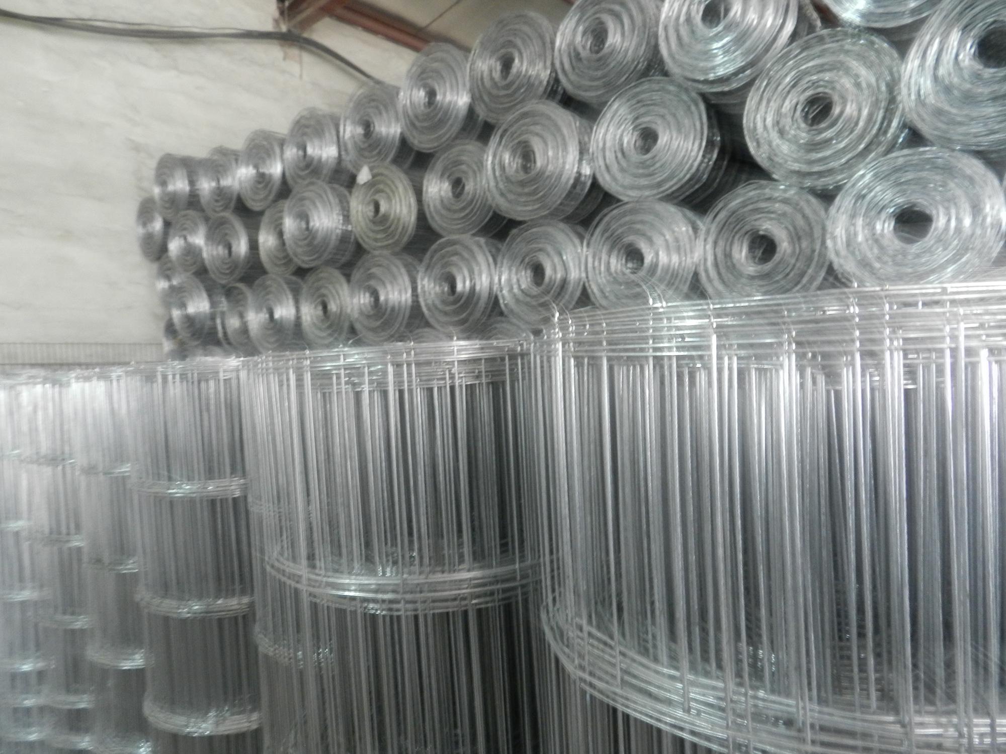 Welded Wire Mesh