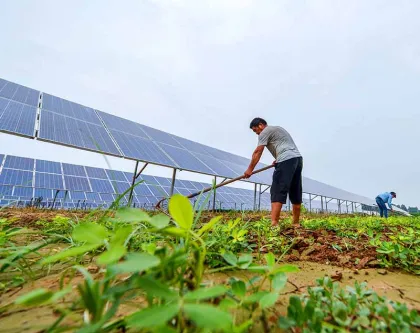 Processed Pv Mounting Bracket System Solar Panel Stand