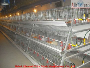 Automatic poultry cage for sale  
