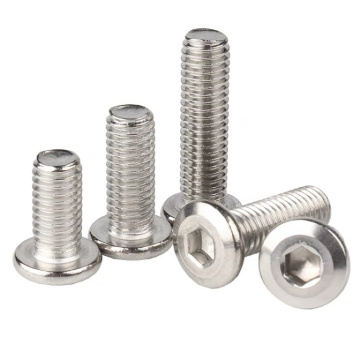 Socket Hexagon Stainless Hexagon Ultra Low Head Screws