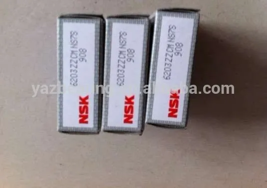nsk 6203