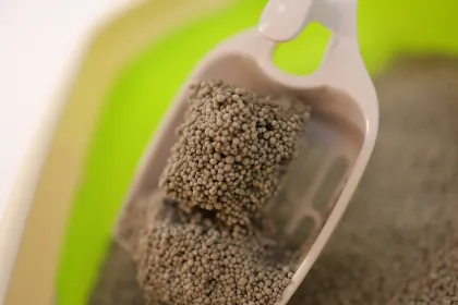 1.5mm Bentonite Cat Litter