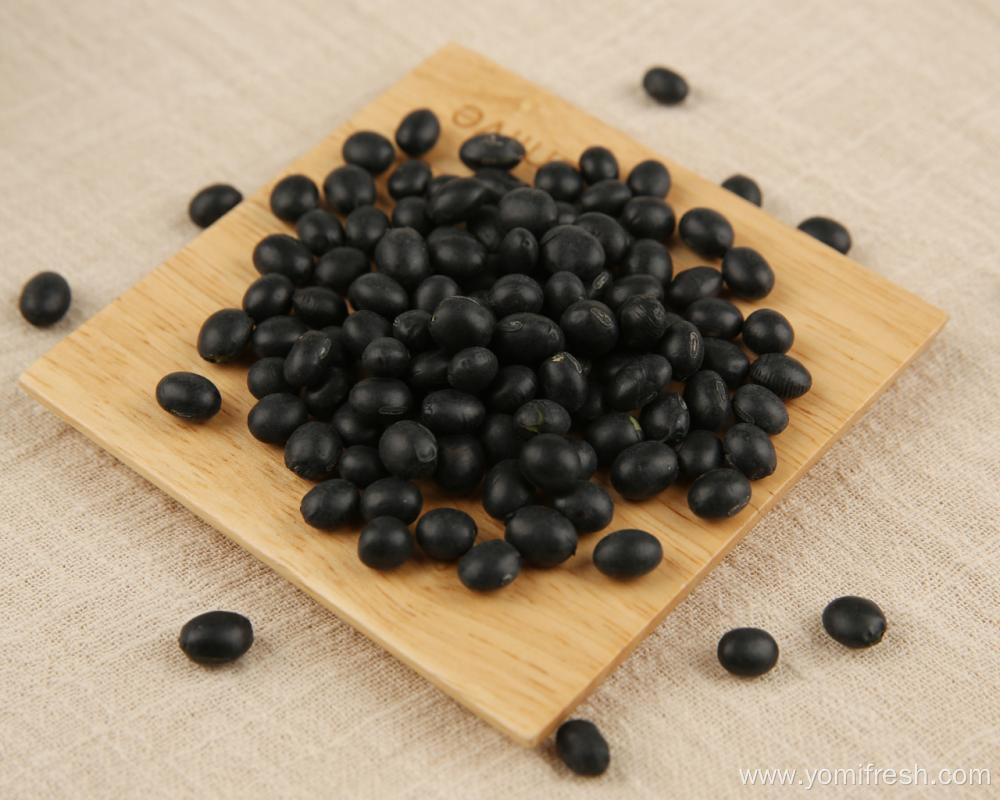 Black Beans And Rice