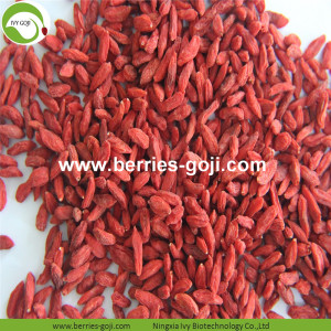 Paquete de Frutas de Suministro de Fábrica USA Goji Berry