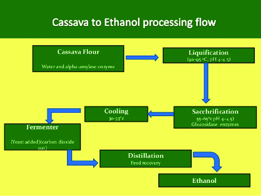 Cassava flour to ethanol processing Cassava flour to ethanol processing