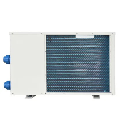 Swimming Pool phnix City Mini Split Heat Pump