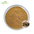 Premium Kacip Fatima Extract for Natural Remedies