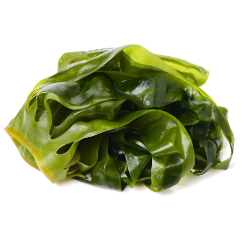 kelp Seaweed Extract kelp Extract