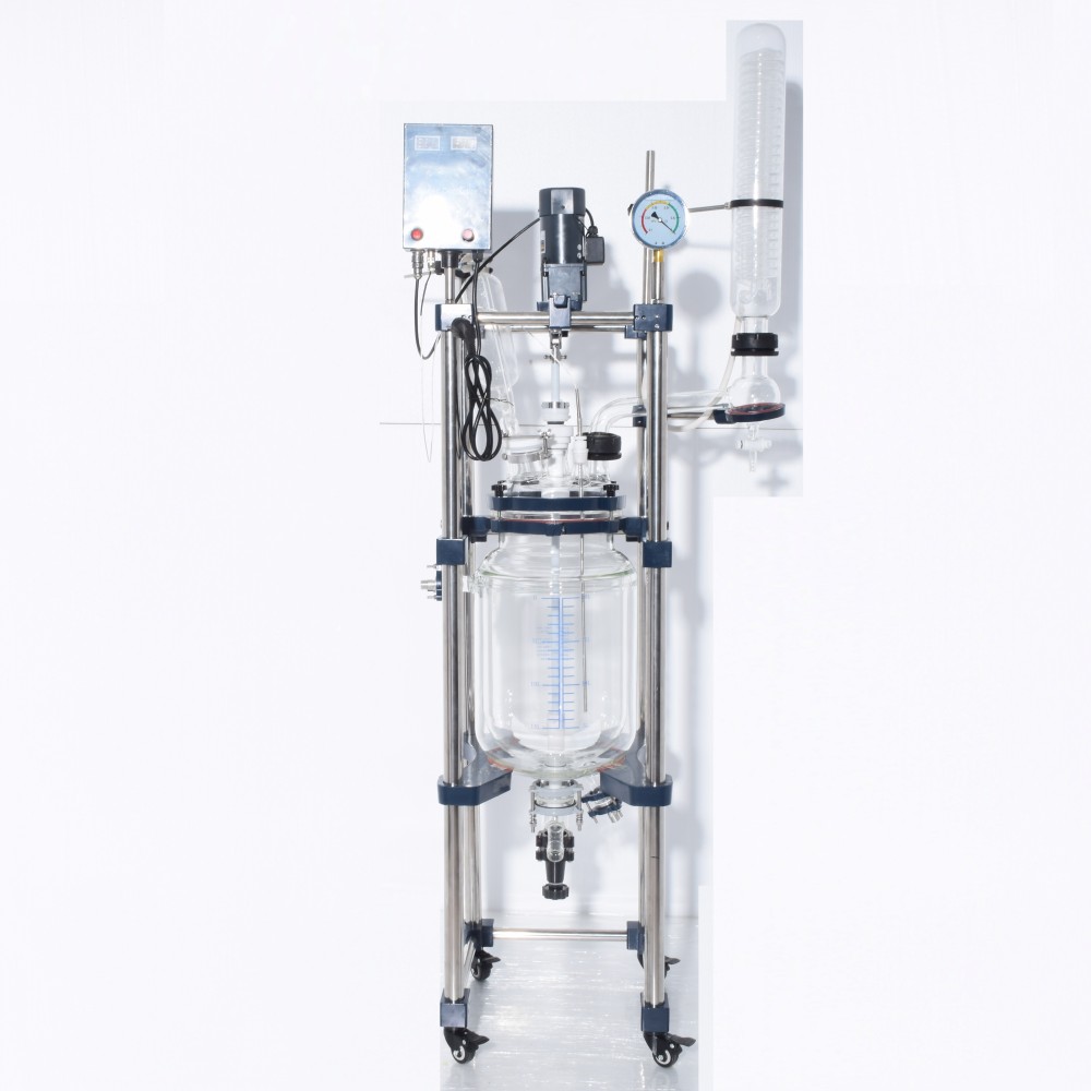 100 Liter Glass Reactor